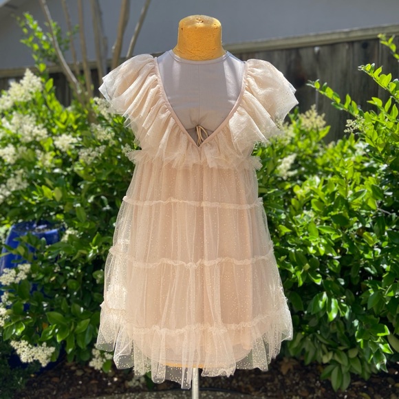 Show Me Your MuMu Miranda Dress Sparkle Dust Tulle - Picture 7 of 12